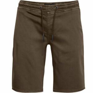 BLEND DENIM SHORTS Pánské šortky, hnědá, velikost obraz