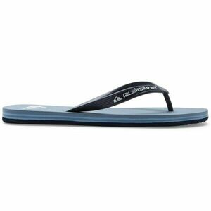 Quiksilver MOLOKAI CORE Pánské žabky, světle modrá, velikost 41 obraz