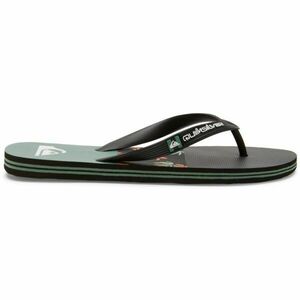 Quiksilver MOLOKAI STRIPE Pánské žabky, černá, velikost 40 obraz