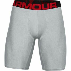 Under Armour TECH 9IN 2 PACK Pánské boxerky, šedá, velikost obraz