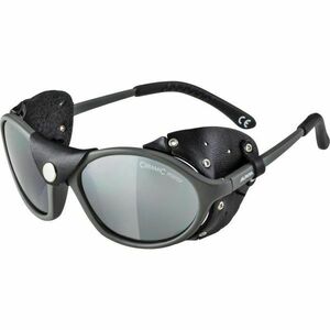 Alpina Sports SIBIRIA Unisex sluneční brýle, , velikost obraz