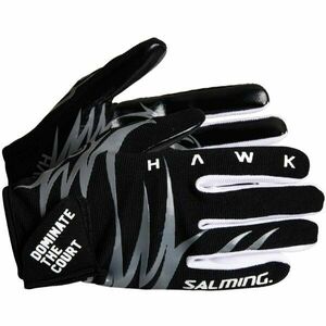Salming HAWK GLOVES Florbalové brankářské rukavice, černá, velikost obraz
