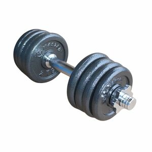 Činka nakládací MASTER 15 kg obraz