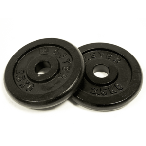 Kotouč MASTER 2, 5 kg kov (pár) obraz