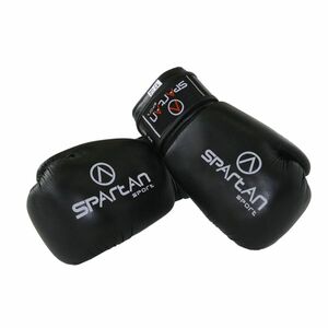 Boxovací rukavice SPARTAN Top Ten obraz