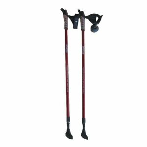 Trekingové hole SPARTAN Nordic Walking obraz