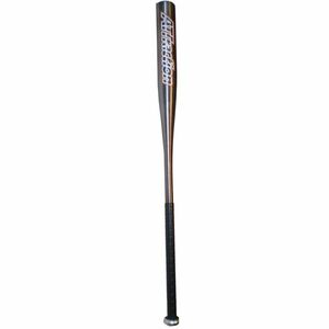 Softball pálka SPARTAN Alu - 32" stříbrná obraz