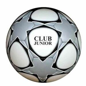 Fotbalový míč SPARTAN Club Junior 4 obraz