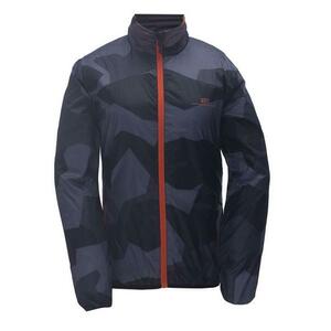 2117 of Sweden MURJEK - S obraz