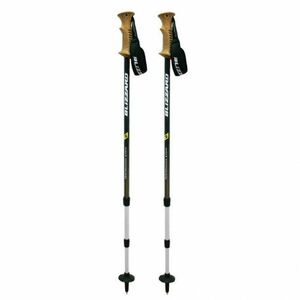 Turistické hole BLIZZARD-Trekking Performance shock obraz