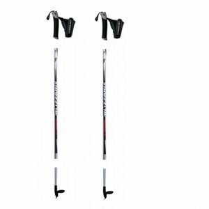 Běžkařské hole BLIZZARD-XC Performance CC silver obraz