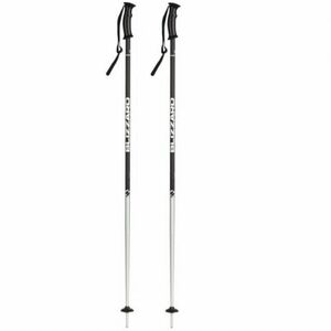 Lyžařské hole BLIZZARD-Sport ski poles, black matt/silver obraz