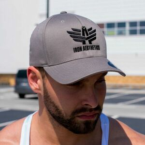 Pánská kšiltovka Iron Aesthetics FlexFit, šedá obraz