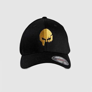 Pánská kšiltovka Iron Aesthetics FlexFit SKULL GOLD, černá obraz