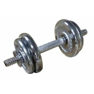 ACRA Nakládací činka jednoruční, chromovaná 10kg obraz