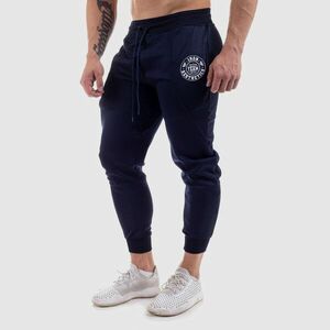 Jogger tepláky Iron Aesthetics Circle Star, navy obraz