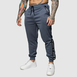 Jogger tepláky Iron Aesthetics Partial, šedé obraz