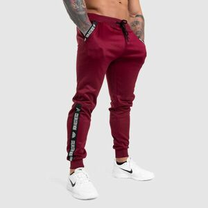 Jogger tepláky Iron Aesthetics Partial, bordové obraz
