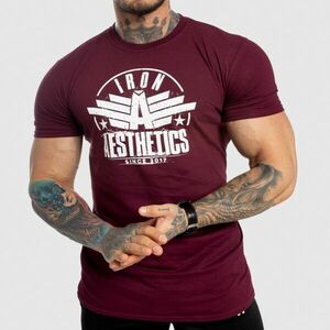 Pánské fitness tričko Iron Aesthetics Force, bordové obraz