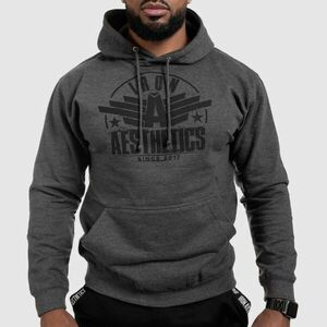 Fitness mikina bez zipu Iron Aesthetics Force, Charcoal Grey obraz
