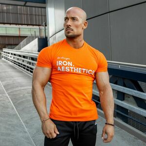 Pánské fitness tričko Iron Aesthetics Be Stronger, oranžové obraz