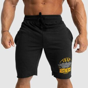 Pánské teplákové kraťasy Iron Aesthetics Force, černé obraz