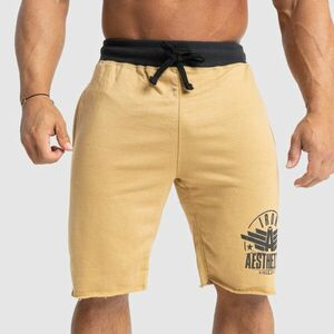 Pánské teplákové kraťasy Iron Aesthetics Force, pískové obraz