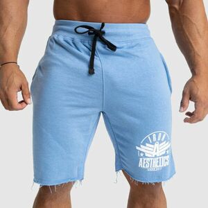 Pánské teplákové kraťasy Iron Aesthetics Force, světle modrá obraz