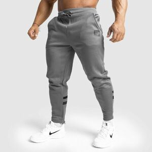 Jogger tepláky Iron Aesthetics Boxed, šedá obraz