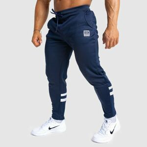 Jogger tepláky Iron Aesthetics Boxed, navy obraz