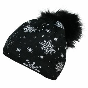 Zimní čepice BLIZZARD-Stone, black obraz