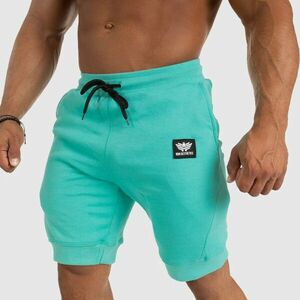 Pánské teplákové kraťasy Iron Aesthetics Badge, tyrkys obraz