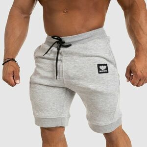 Pánské teplákové kraťasy Iron Aesthetics Badge, světle šedé obraz