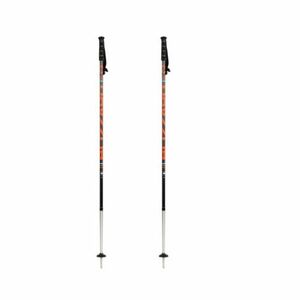 Lyžařské hole BLIZZARD-Race 7001/carbon ski poles, black/orange obraz