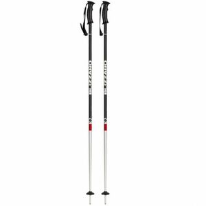 Lyžařské hole BLIZZARD-Rental ski poles obraz