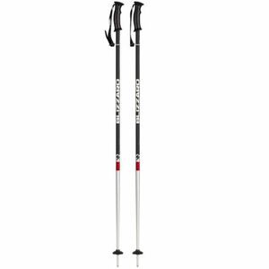 Juniorské lyžařské hole BLIZZARD-Rental junior ski poles obraz