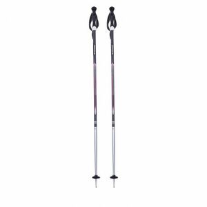 Dámské lyžařské hole BLIZZARD-Viva Alight ski poles, blue/white/pink obraz