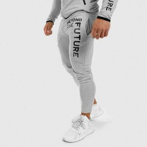 Pánské SlimFit tepláky Beyond the Future, šedé obraz