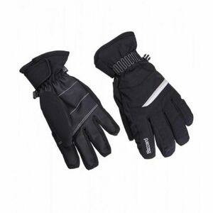Dámské lyžařské rukavice BLIZZARD-Viva Plose ski gloves, black/white/silver obraz