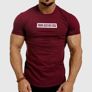 Pánské fitness tričko Iron Aesthetics Boxed, bordové obraz