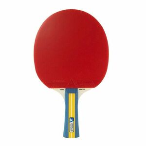 Pálka na stolní tenis JOOLA Team Master obraz