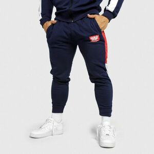 Jogger tepláky Iron Aesthetics Tricolora, navy obraz