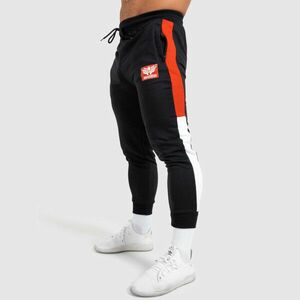 Jogger tepláky Iron Aesthetics Tricolora, černé obraz