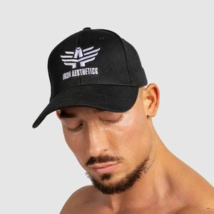 Pánská kšiltovka Iron Aesthetics Vision, černá obraz