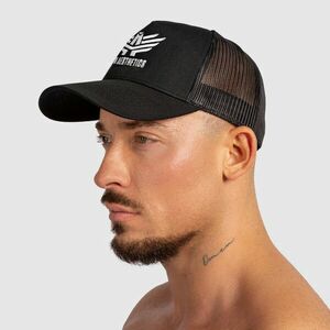 Pánská kšiltovka Iron Aesthetics Boost, black/white obraz