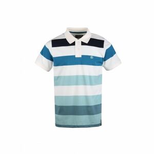 Pánské polo triko s krátkým rukávem FUNDANGO-Incognito stripe-110-dirty white obraz