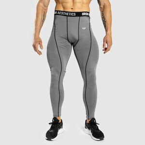 Pánské sportovní legíny Iron Aesthetics Dry Cool, šedé obraz