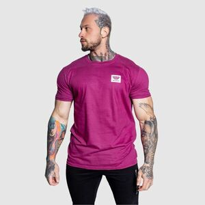 Pánské sportovní tričko Iron Aesthetics Quick, berry obraz