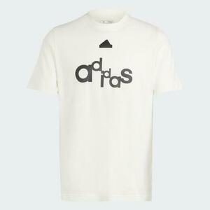 Adidas BL SJ T Q1 GD IS2010 - XL obraz