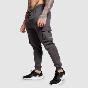 Pánské tepláky Iron Aesthetics Cargo Joggers, tmavě šedé obraz